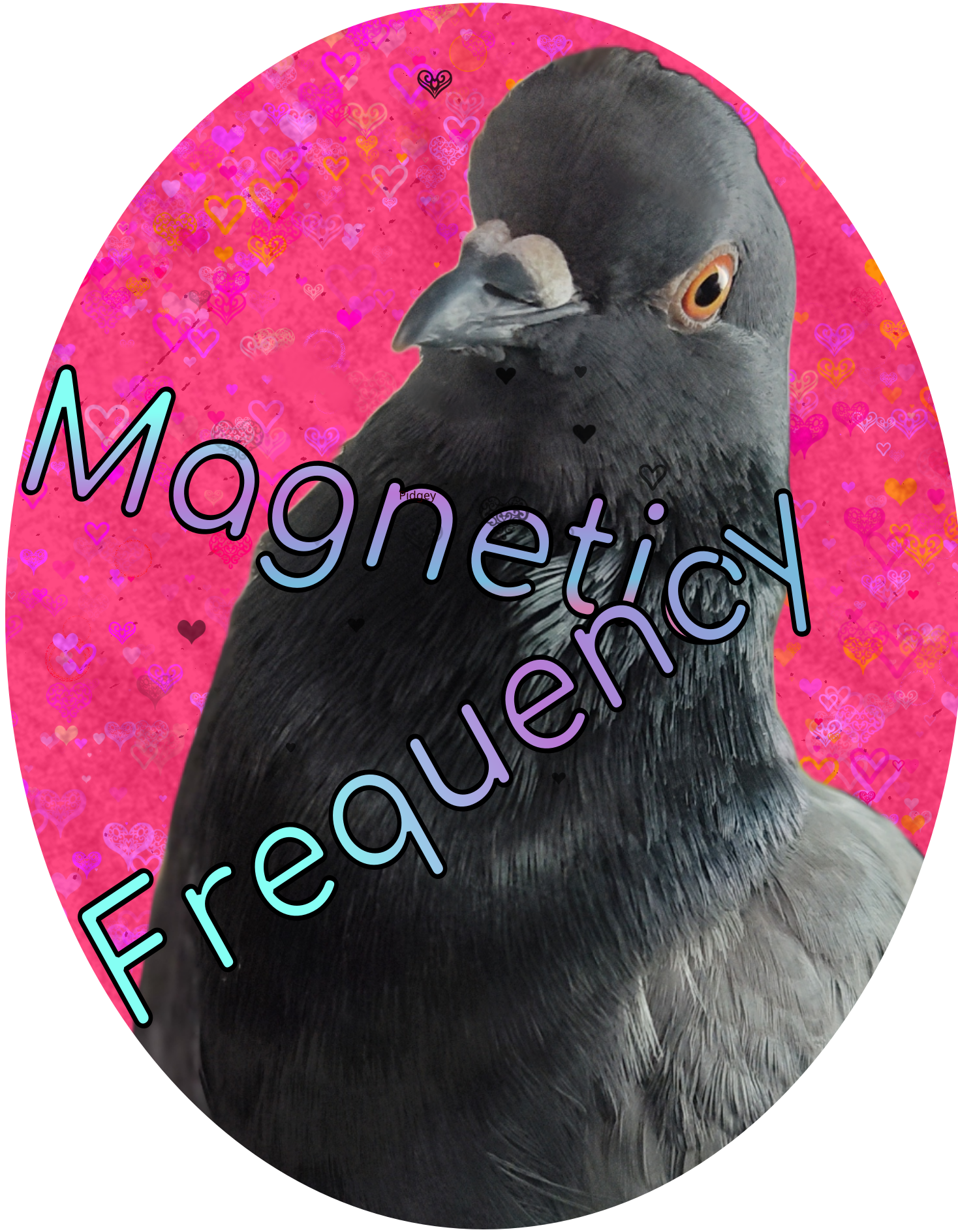 Magnetic Frequency logo with pink background and Pigeon pictured with words "Magnetic Frequency"