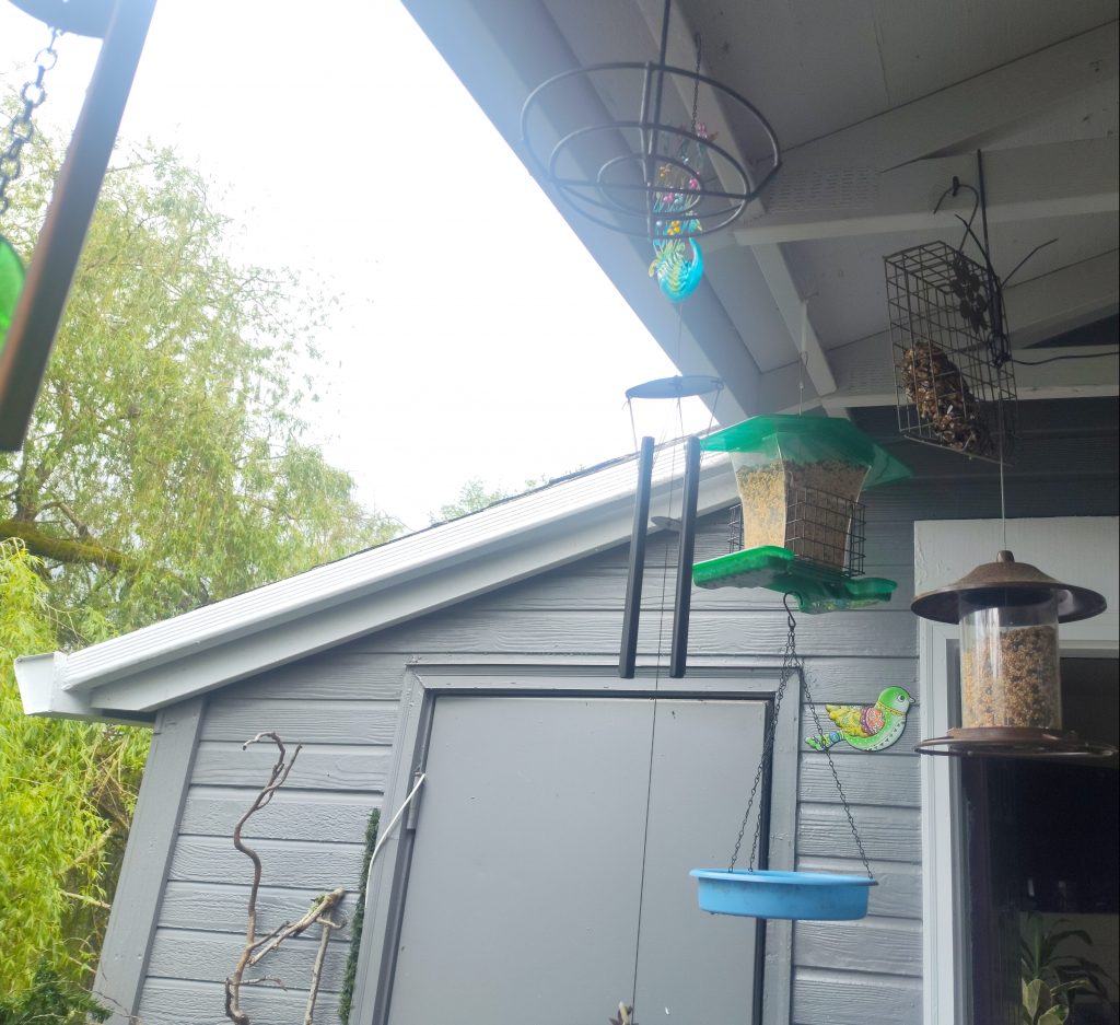 BIrd Seed Feeder Magnetic Frequency Patio