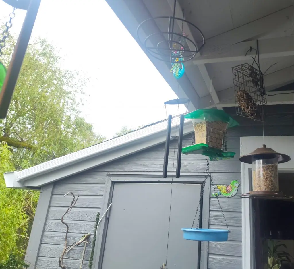 BIrd Seed Feeder Magnetic Frequency Patio