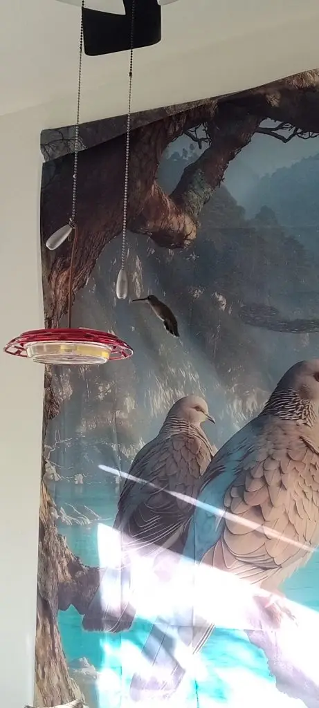 Hummingbird and Nectar 4