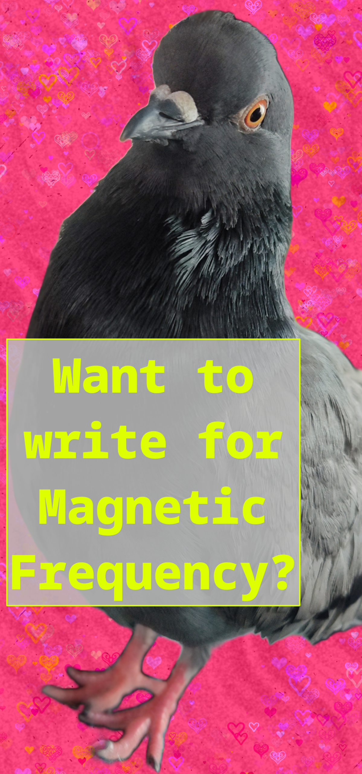 Want to write for Magnetic Frequency?