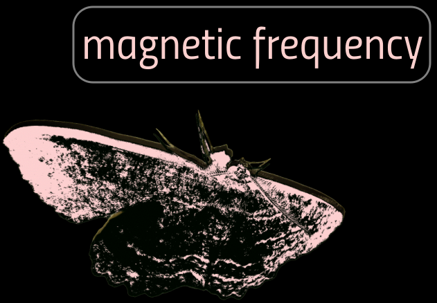 Magnetic Frequency Logo Moth