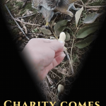 Squirrel charity