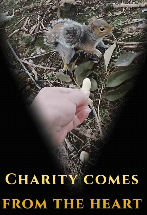 Squirrel charity