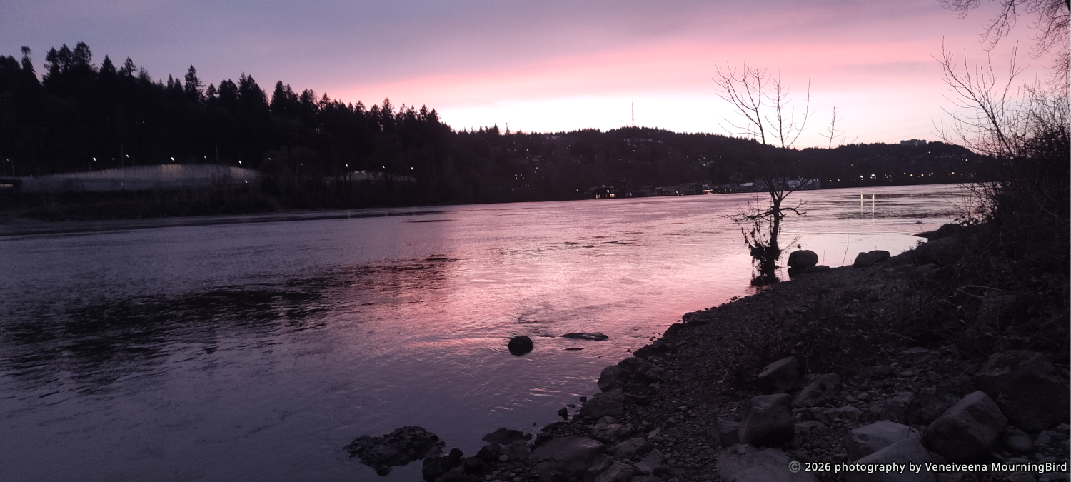 Willamette River in Portland, Oregon Pink Sunset photography by Veneiveena MourningBird